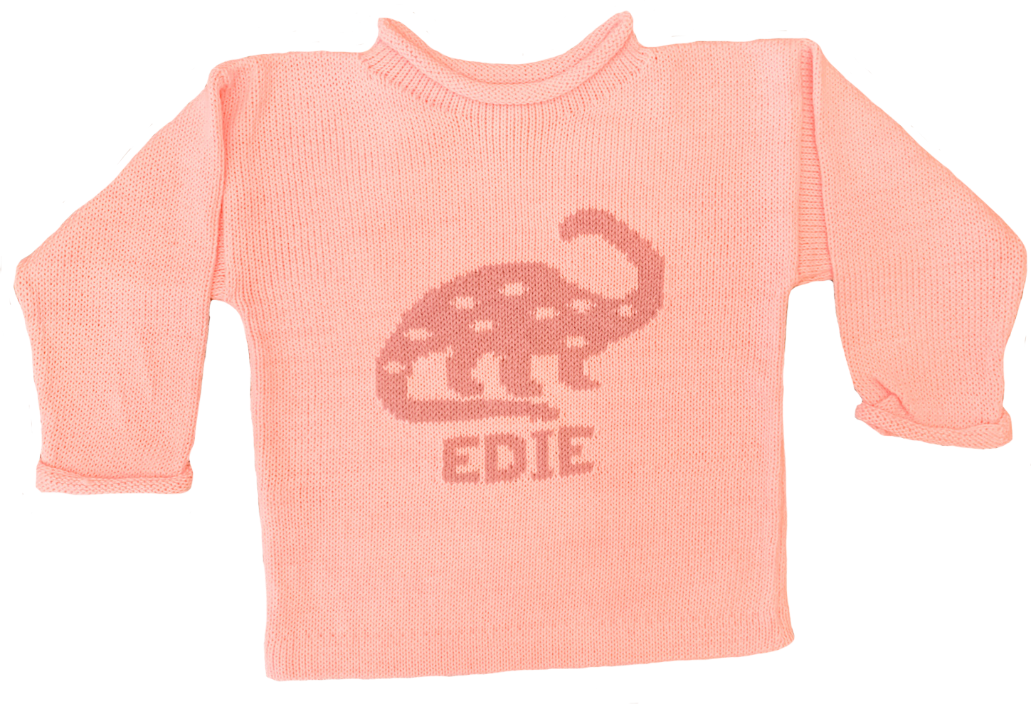 Brontosaurus pullover 2025